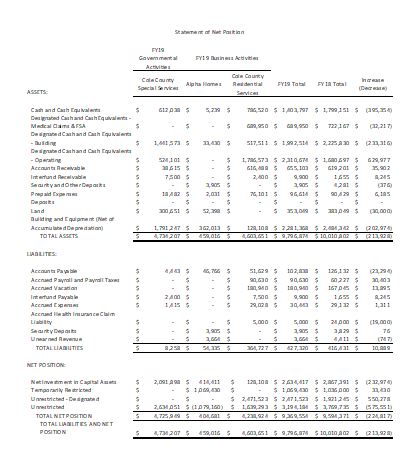 Financial Statement Cole County Residential Services Inc